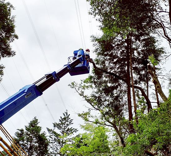 送電線の保安伐採