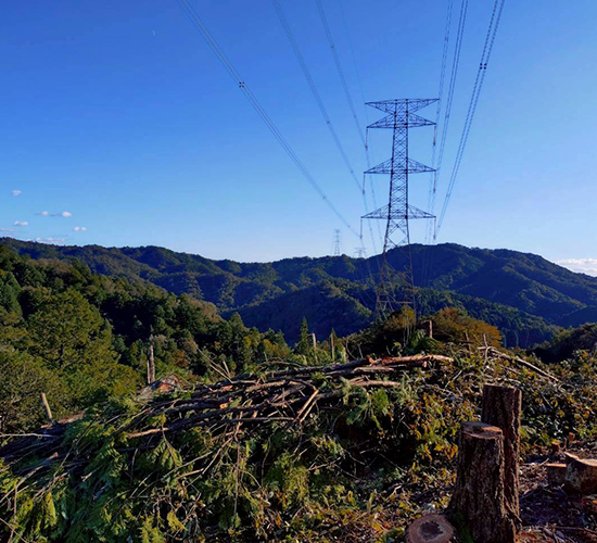 送電インフラ建設・補修工事のための伐採・除草