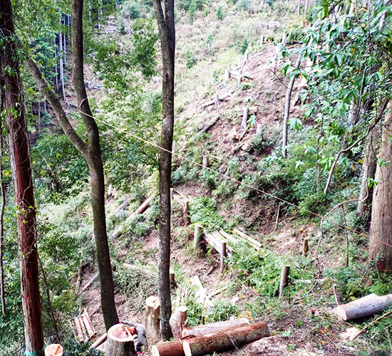 送電線の巡視路・敷地除草